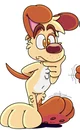 Drip the dog