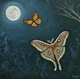 Moth and Butterfly 