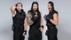 The SHIELD