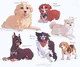 KNY -Dogs AU-