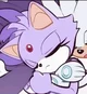 Blaze the Cat