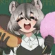 Raccoon-Chan