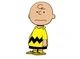 Charlie Brown Vs ___