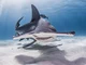 Hammerhead shark