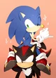 Sonic Riggy Shadow