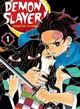 Demon slayer