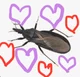 A Kissing Bug
