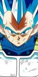 Vegeta 