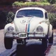 Herbie