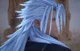Xemnas