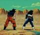 Goku and Vegeta