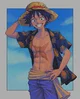 Gay luffy