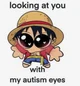 kid Luffy 