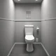 A toilet