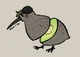 TK-Kiwi bird