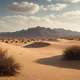 The desert