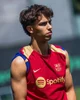 Joao Félix