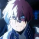 Shoto Todoroki