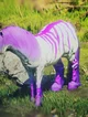 Giant purple stripe