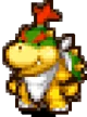Baby Bowser