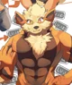 Big Boy Arcanine