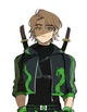 Lloyd Garmadon 