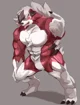 Powerhouse Lycanroc