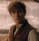 NEWT SCAMANDER