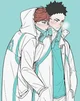 Iwaoi