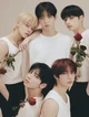 TXT family