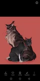 Tigerstar x Scourge 