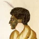 Te Rauparaha