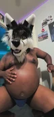 Sebastianfatfox 