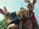 Peter rabbit 