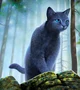 BlueStar