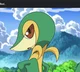 Ashs snivy