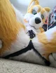 Kyo husky Fursuit 