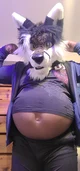 Sebastianfatfox 