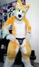 Kyo husky Fursuit 