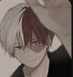 Shoto Todoroki