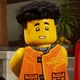 Arin Ninjago 