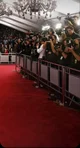 Tapete vermelho