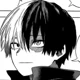 MHA-Todoroki Shoto