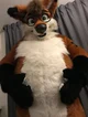 Leon fat fox Fursuit