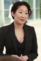 Cristina Yang 