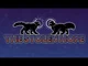 The Stolen Hope Rp