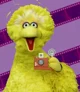 Big Bird