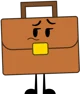 Briefcase 