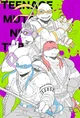 TMNT Bayverse