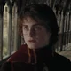 Harry Potter Br